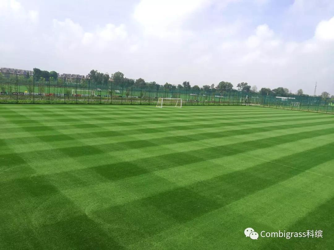 中国足协专业足球场,2022中国足协举办比赛场地