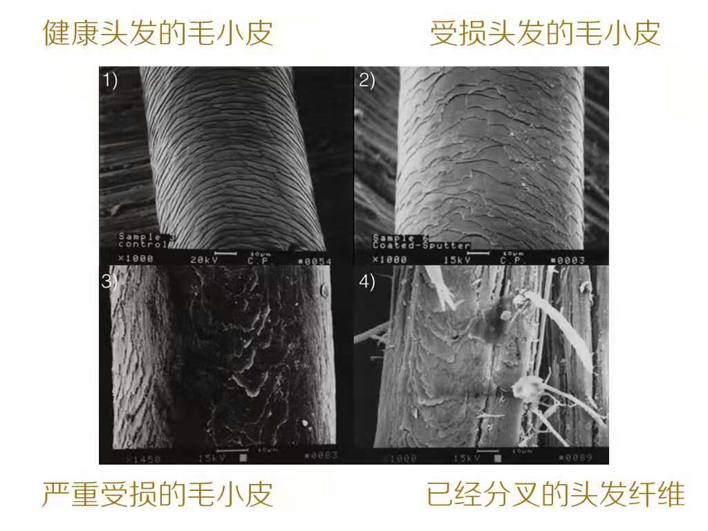 头发毛躁用什么护发精油烫发,头发烫过发质干枯用精油怎么打理