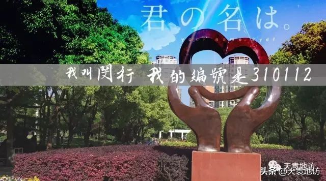 上海闵行区城市面貌,上海市闵行区的发展变化