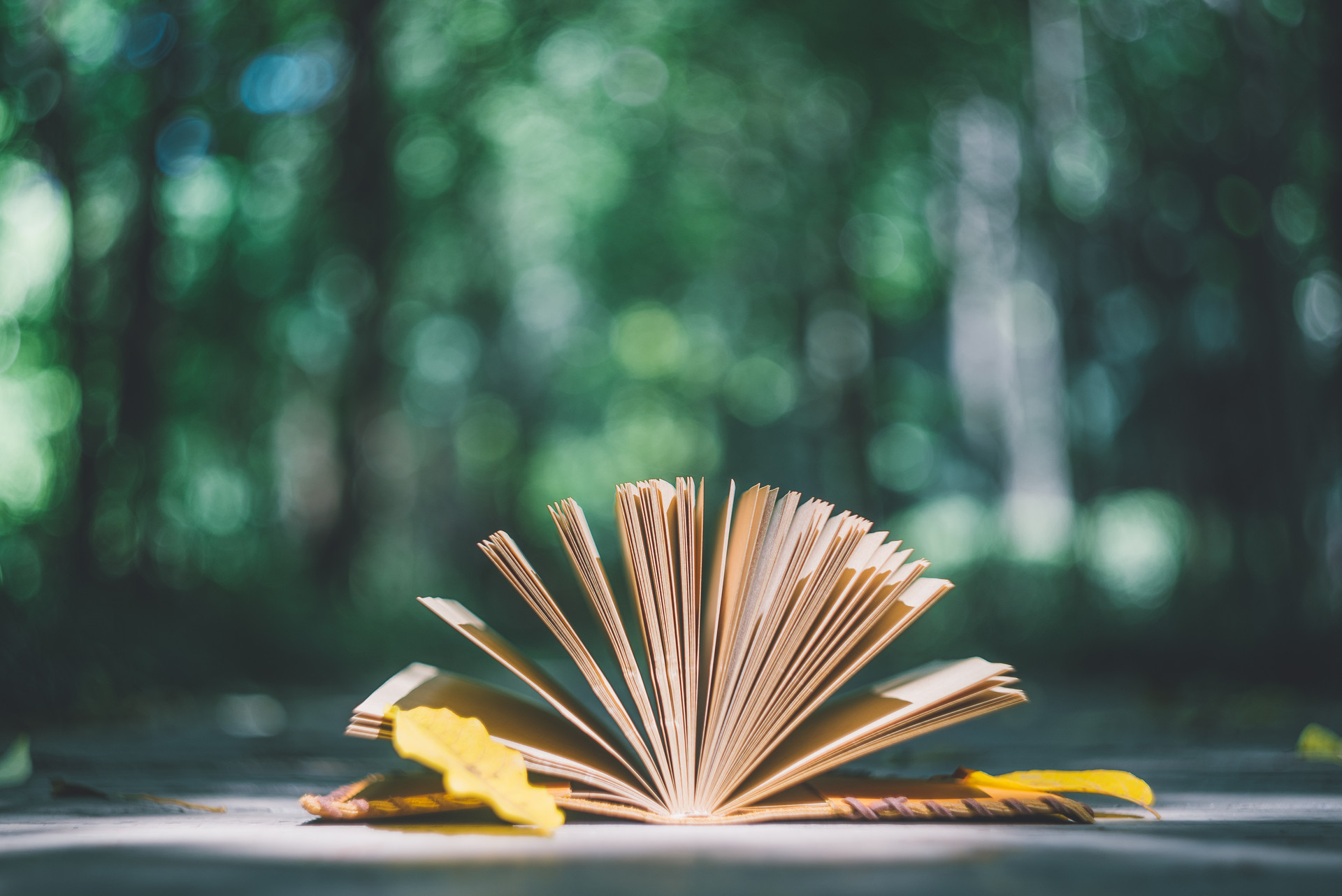 你突然觉得一个人疏远你是为什么,如果有个人突然疏远你