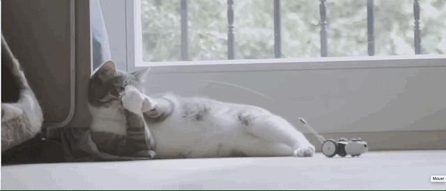 智能家居到底该不该被忽略,智能家居还能更智能吗