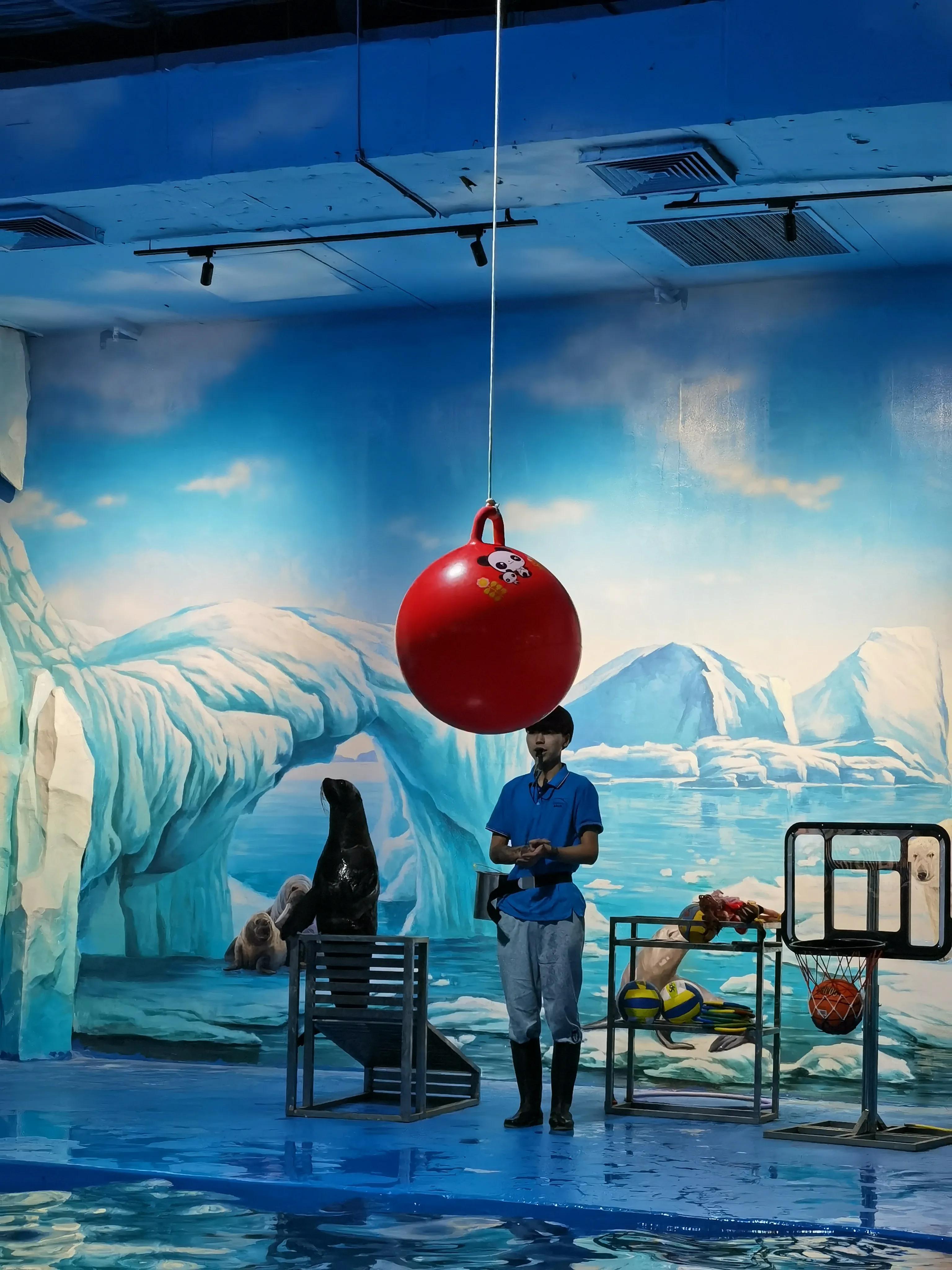 天津海洋馆新开的儿童乐园,天津适合孩子玩的水上乐园