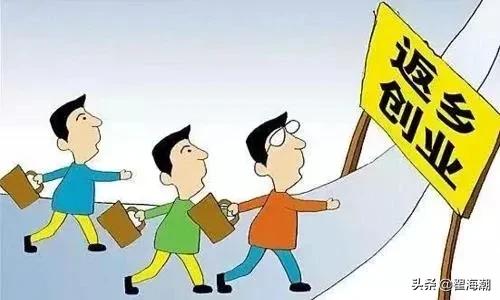 大学生回乡创业对乡村振兴的影响,青年回乡创业助力乡村振兴