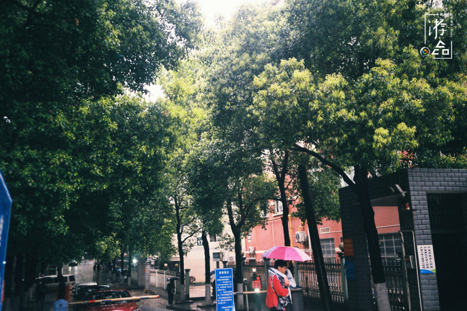 紧到说，重庆话最富有生命力的动词：解手，打王逛，达扑爬