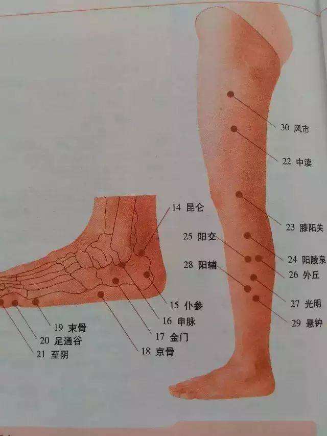 正营穴位位置和主治作用,怎样快速记住穴位的主治作用