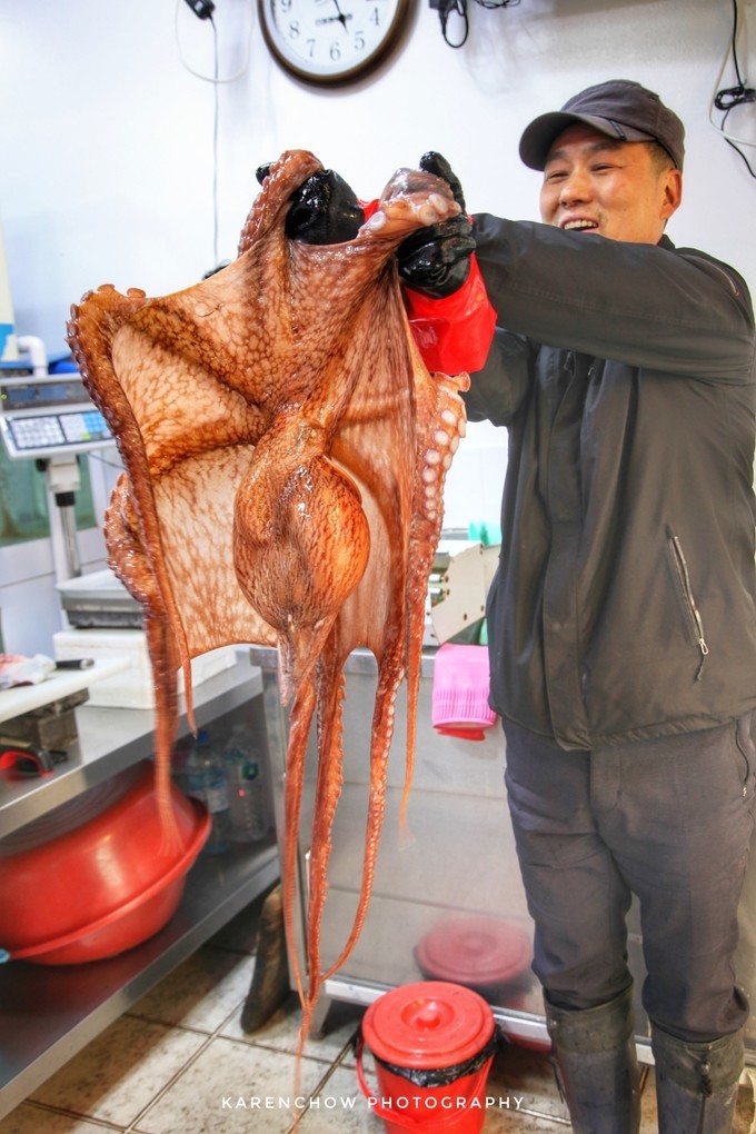 閲滃北濂界帺涓庡ソ鍚冪殑鍦版柟,閲滃北鏃呮父缇庨