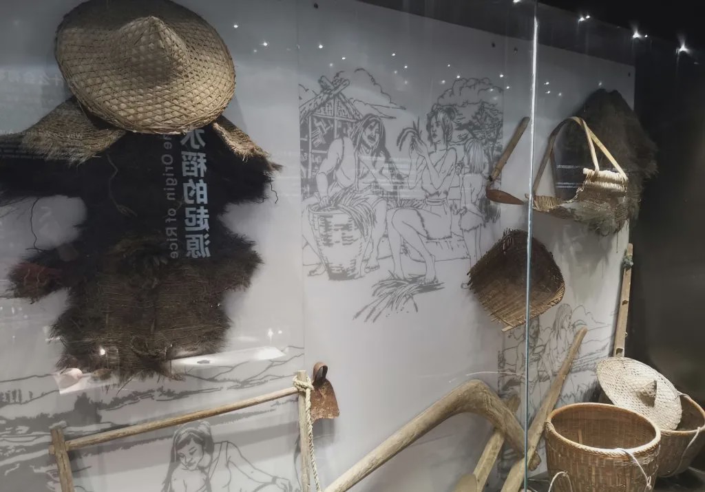 南京可口可乐、广西米粉博物馆...人类还有什么想不到的?