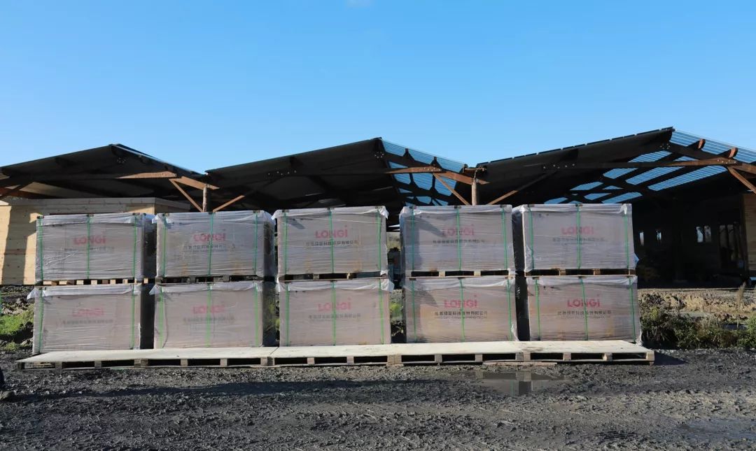 LONGiVlog#002丨隆基光伏产品点亮“欧洲之心”