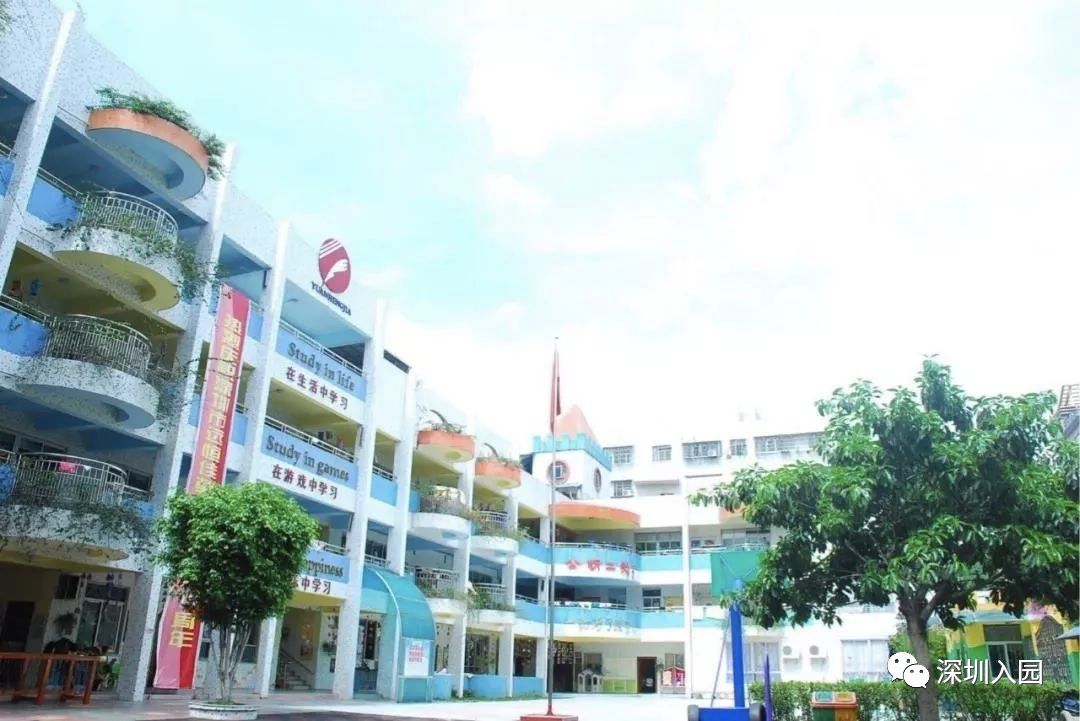 深圳幼儿园示范园入学条件,深圳100所幼儿园排名