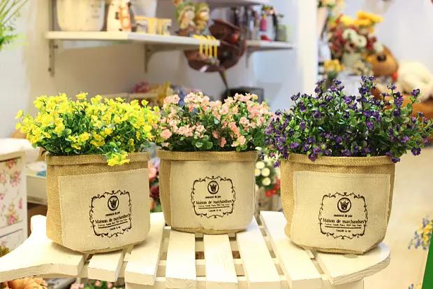 家里花瓶插花放点什么,创意养花花瓶