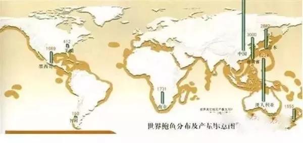 世界顶级鲍鱼菜图片,世界鲍鱼体型十大排行榜