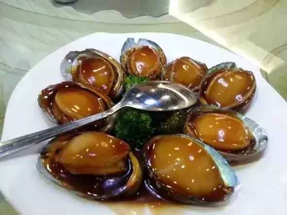 宁波一渔民整理海鲜大全,宁波最全的海鲜