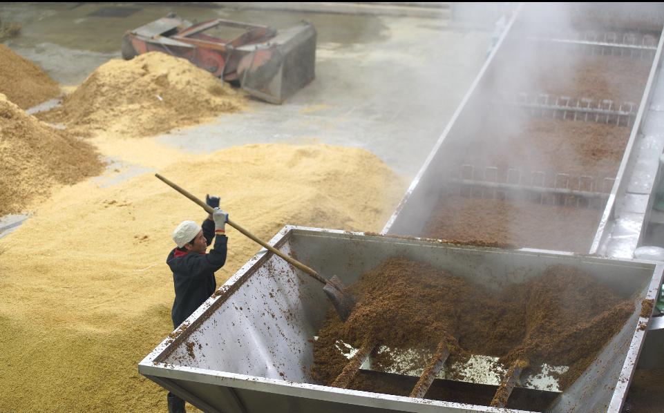 零距离体验一瓶好酒的诞生见证华山论剑西凤酒的好品质专线造