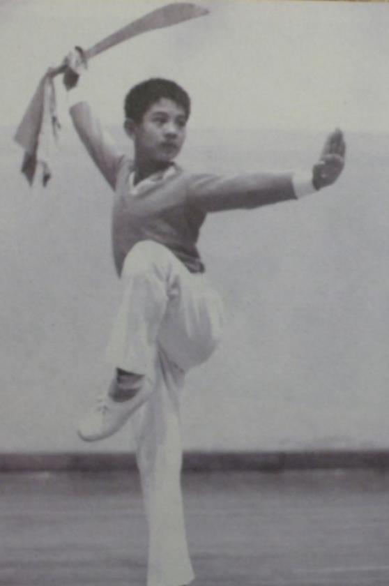 于海：吴京“老丈人”，螳螂拳第六代传人，18岁随周总理访问缅甸