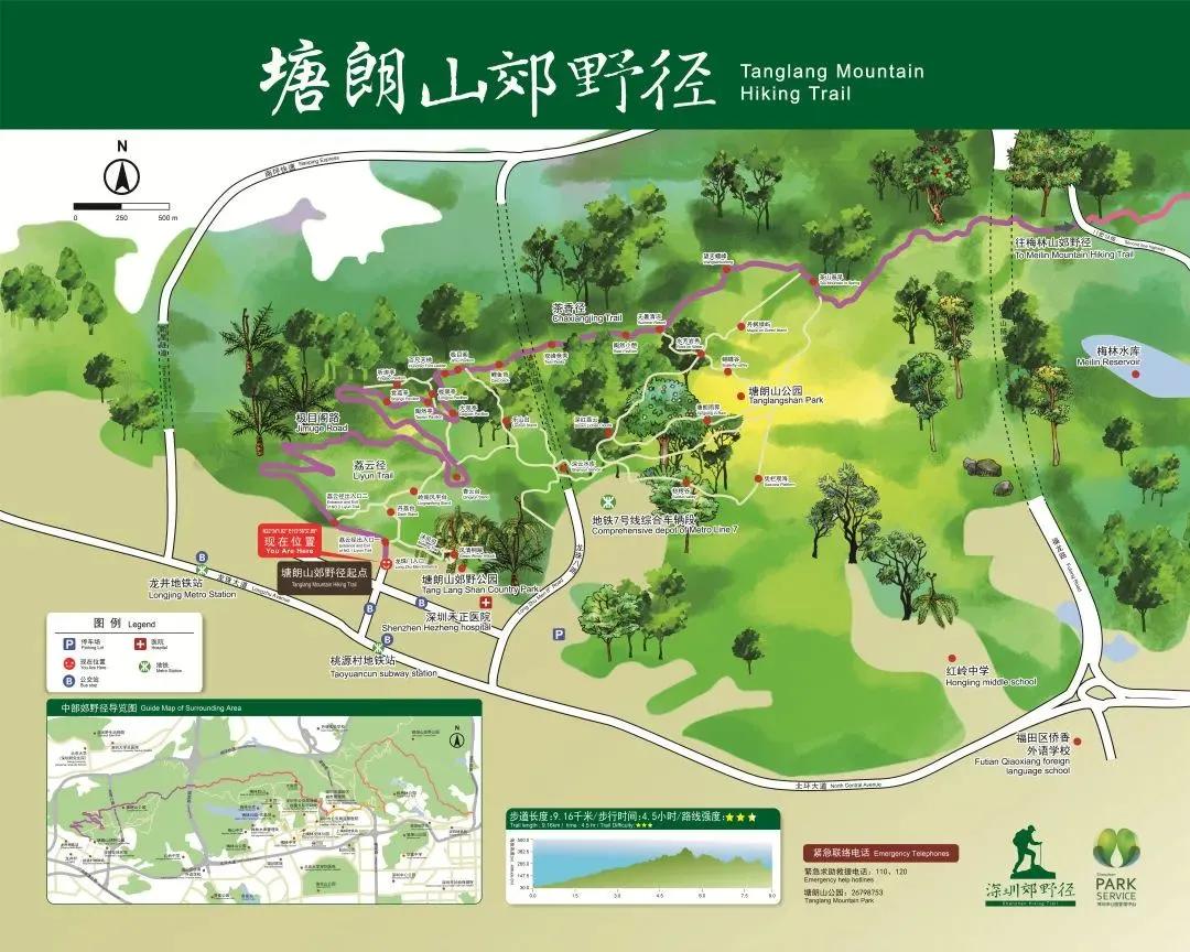 深圳原始登山道视频,深圳首个手工木栈道