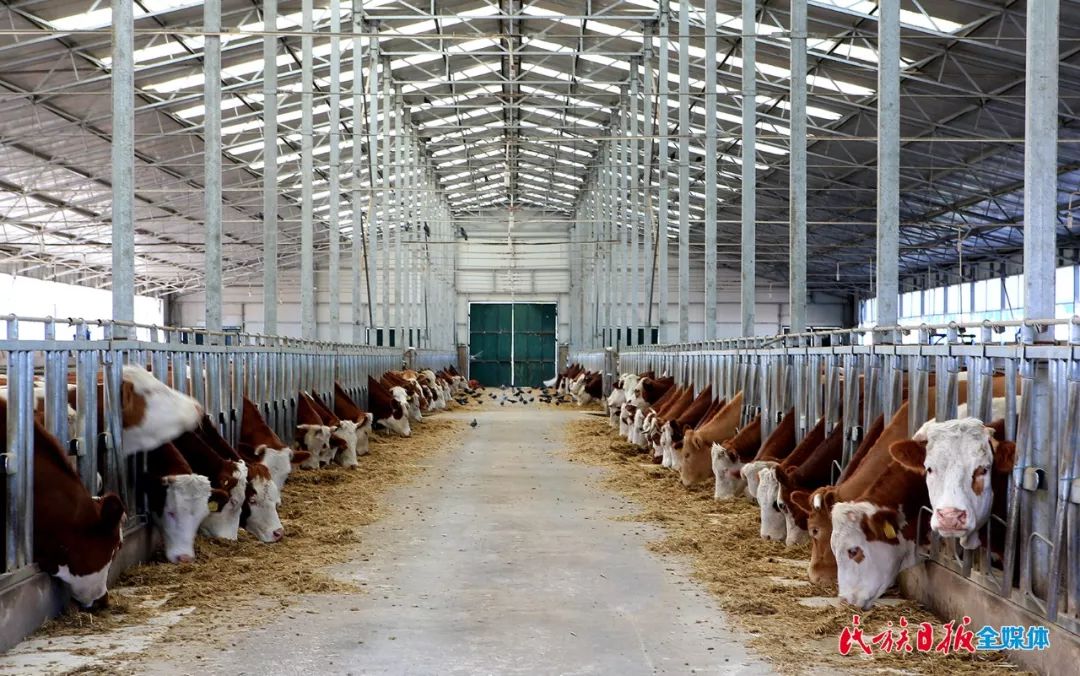 康乐县重点工作汇报,喜迎党代会经济社会发展综述