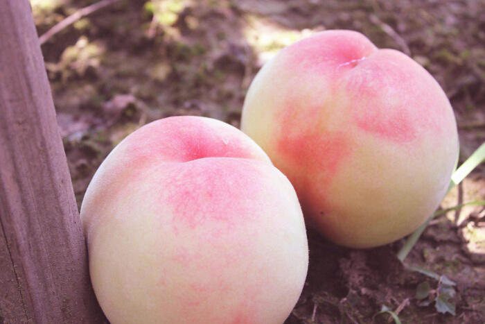 月经颜色发黑量少有异味怎么回事,月经量少发黑有血块粘稠拉丝