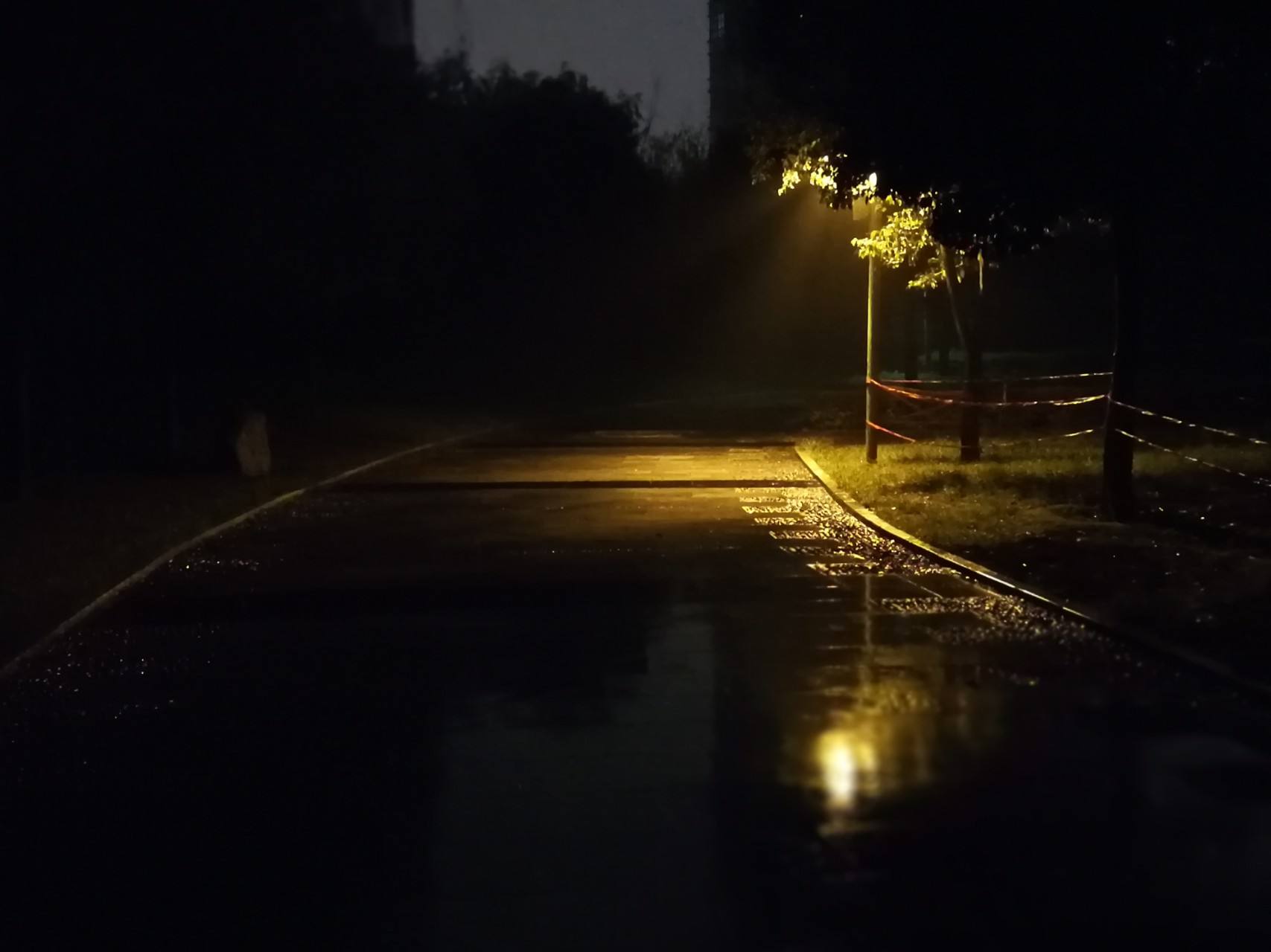 鏉ㄩ涓轰粈涔堜細鍙玝aby,鏉ㄩ涓轰粈涔堣鍙玝aby