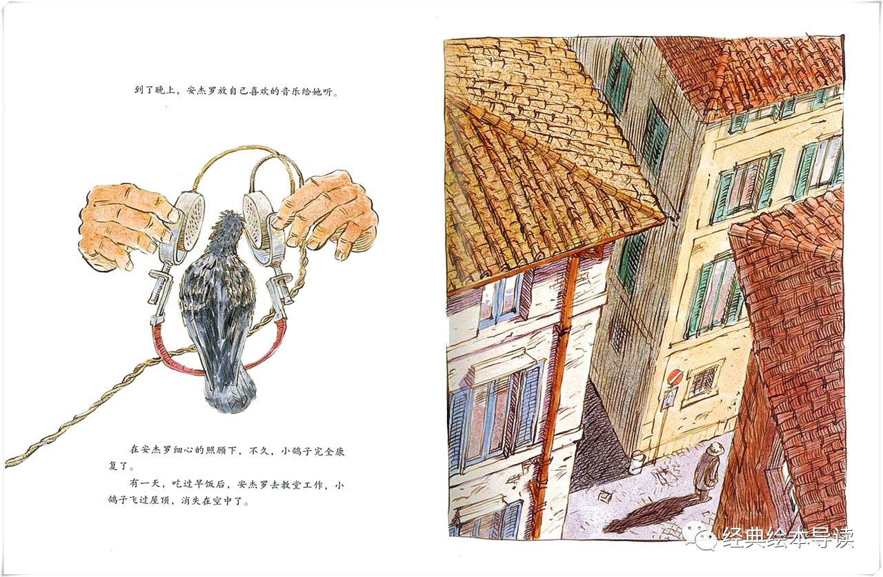 略带辛酸的永恒友谊——《鸽子的天使》导读