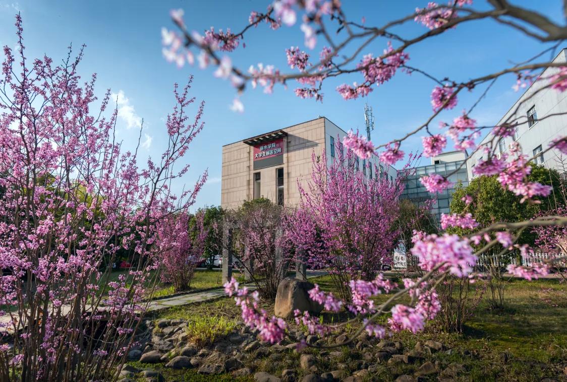 春日丽院，与你一起沐浴阳光