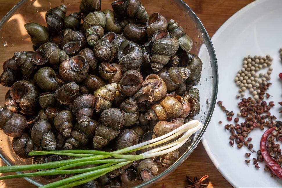 多少盐能清理田螺并保证田螺不死,清洗田螺可以用姜吗