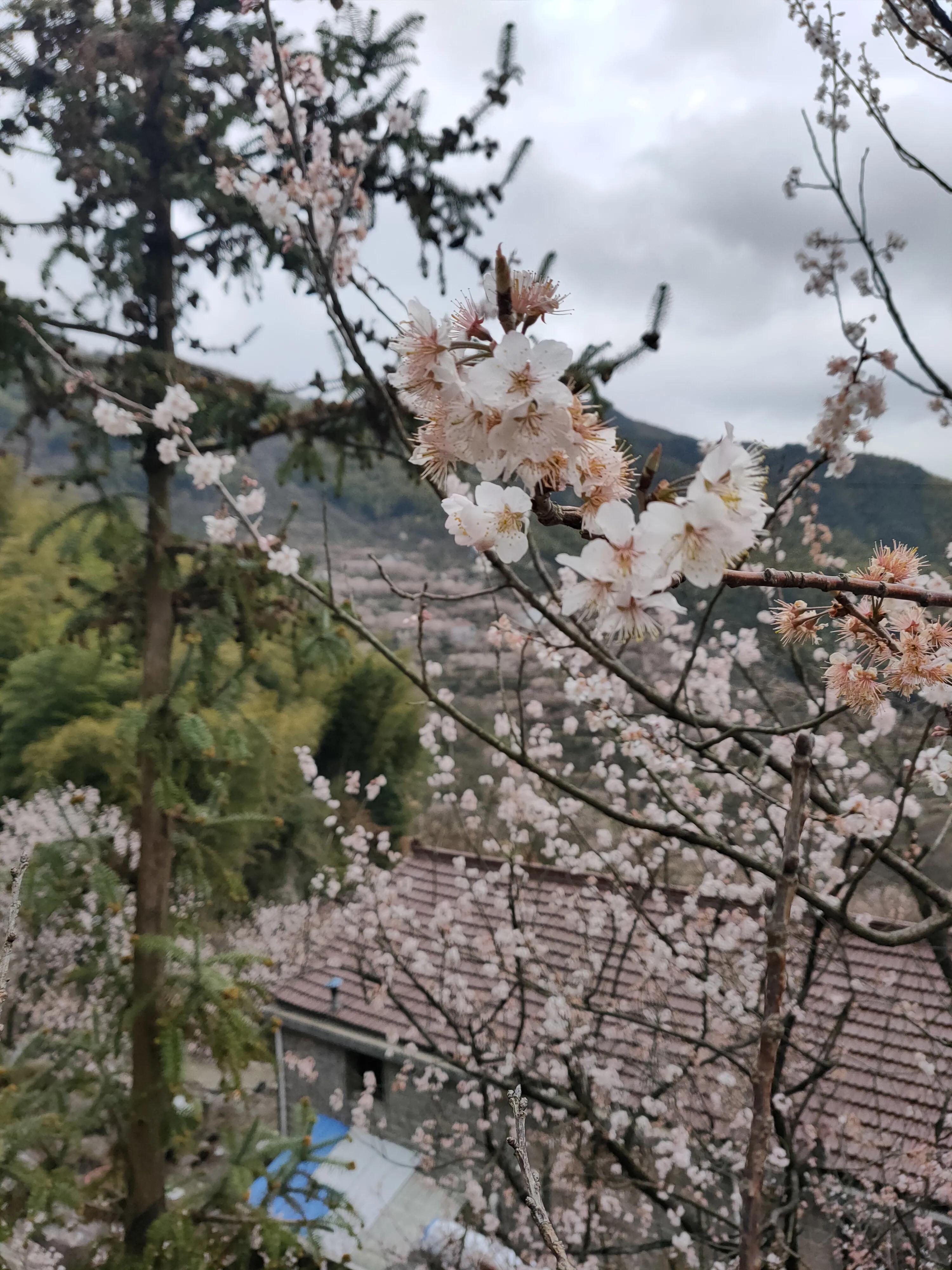 四明山地质公园攻略,宁波四明山地质公园网红打卡