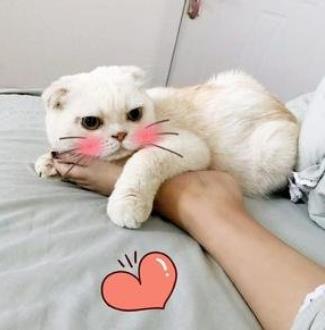 如何打造爆款短视频公式,如何入手做一条爆款短视频赚钱