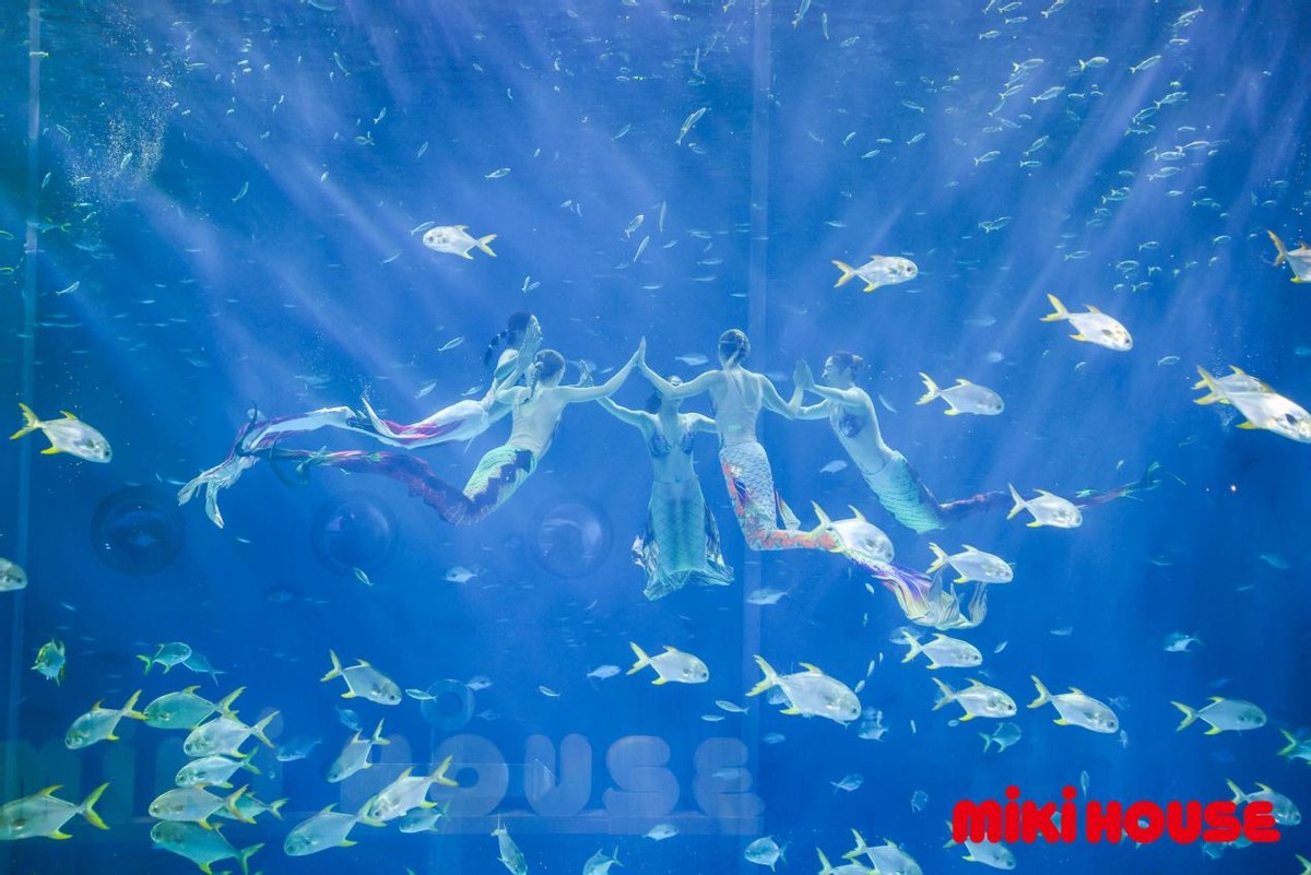 mikihouse中国新星大赛费用,第五届mikihouse中国新星大赛