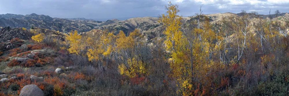 「磴口文化」河套阴山之情韵