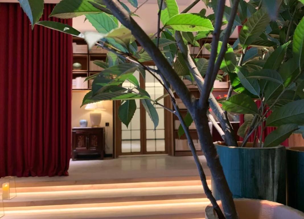 黄山黎阳老街民宿,古徽州文化旅游景区的民宿