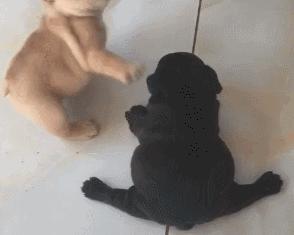 明星劈腿出轨事件,明星频繁被曝绯闻有什么看法