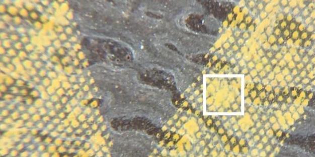 奢侈品鉴定lv圆饼,奢侈品鉴定lv购物袋