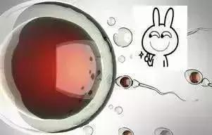 卵泡长不大一般是什么原因,为什么卵泡怎么也长不大不排