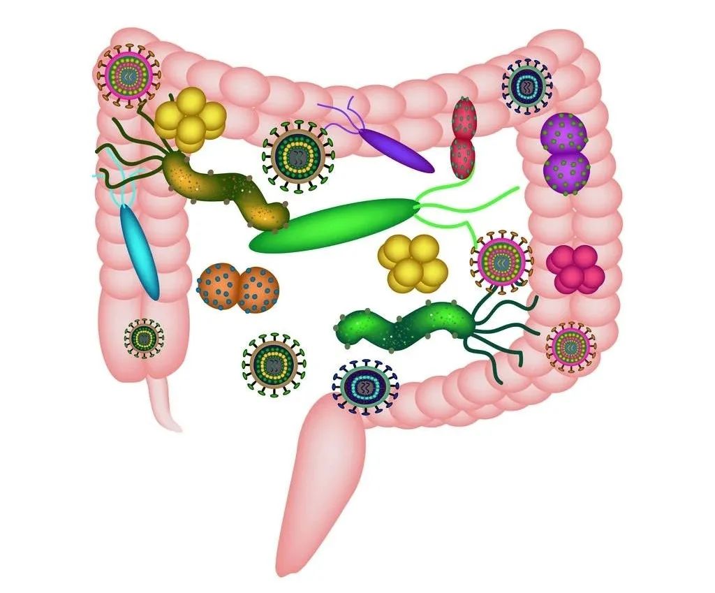 合生元出了什么问题,合生元为什么显示网页有问题