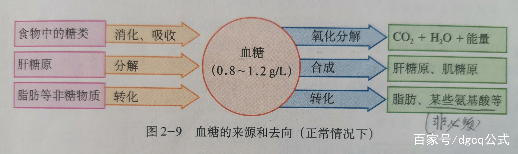 高中生物必修三激素调节知识点,高中生物必修三激素调节笔记