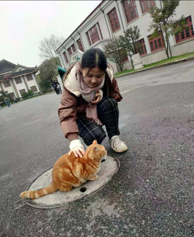 上海必去几条路攻略,上海值得去的路线