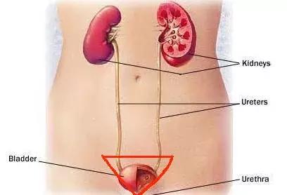 身体有5个危险三角区,身体三角区有哪些危险
