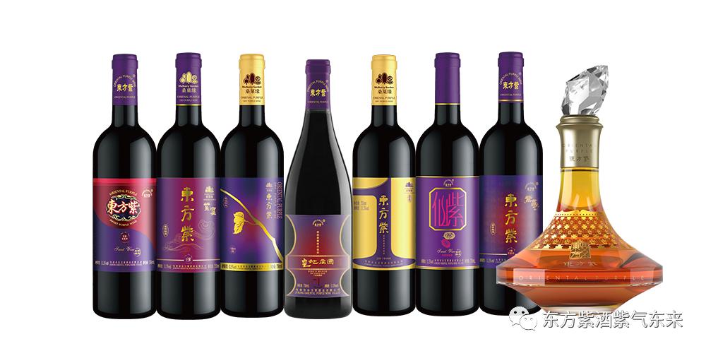 一杯紫酒,轻松周末,采摘品鉴邀您相约