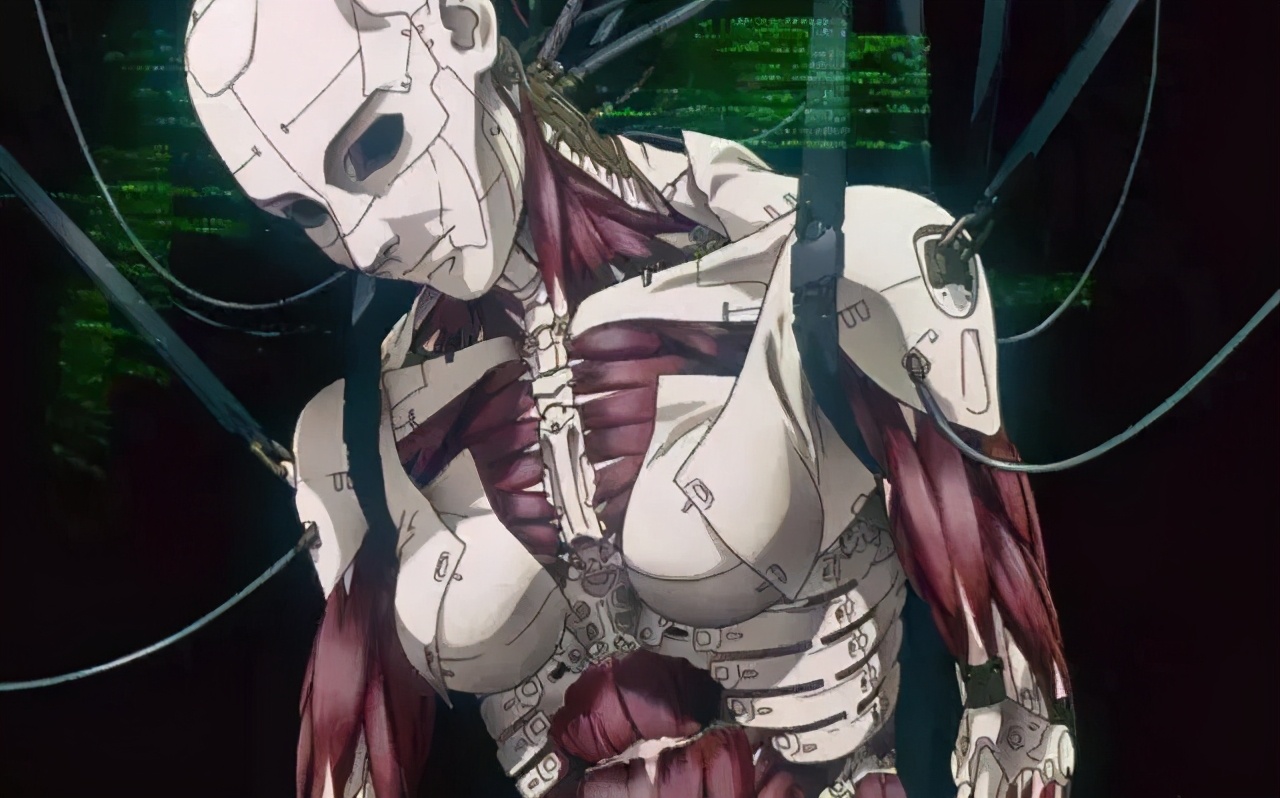 中国为什么没有环国赛,为什么赛博朋克注册显示没有网络