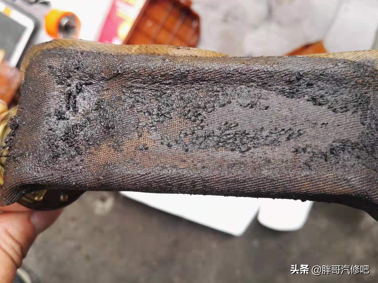 19年蓝鸟难启动很抖,2004年老蓝鸟