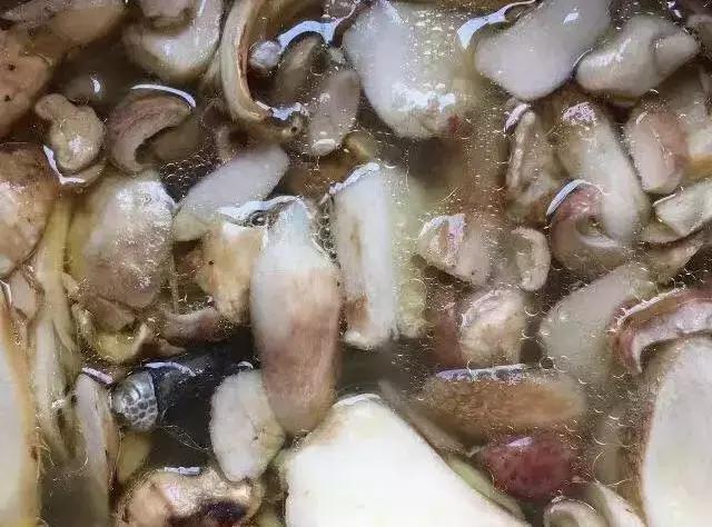 北漂在大理的生活,北漂女子住大理