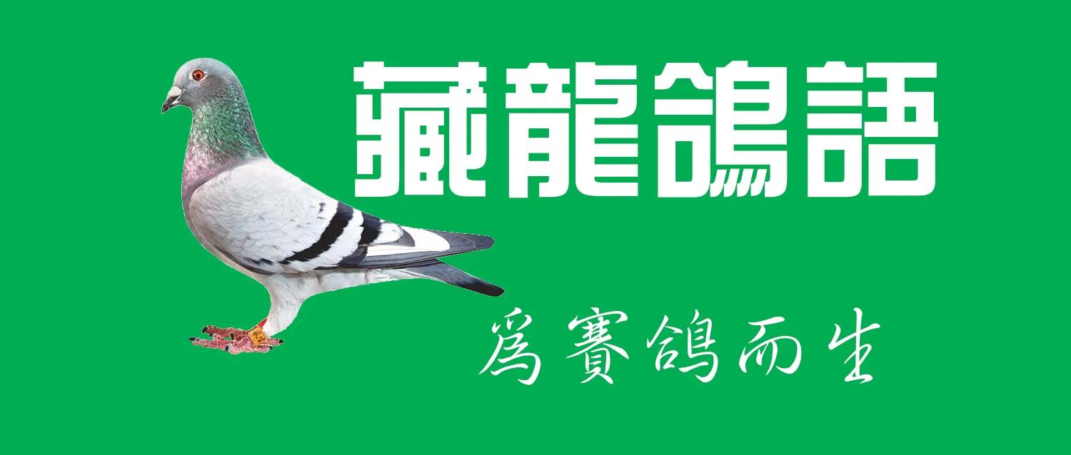 宝宝肠道腺病毒上吐下泻,腺病毒解剖症状