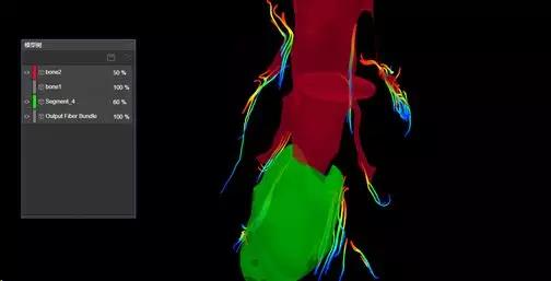 腰腿疼是哪些经络阻塞,腰囊肿疼是怎么回事