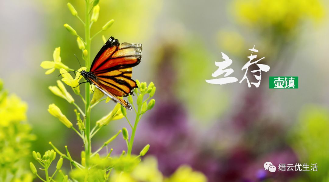 今日立春依旧寒冷入骨,今日立春期待美好图片