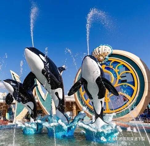 助力快乐童年｜上海虹桥医院尿道下裂男子汉成长营游学开始啦