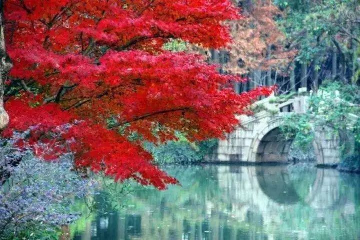 上海厉害了,厉害了上海