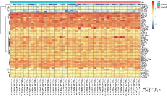 生信分析热图用什么绘制,生信分析r语言生成的图在哪里