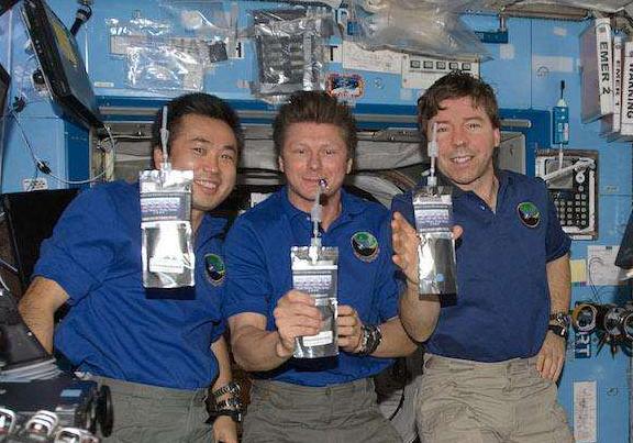 海鸥高端饮水机,海鸥牌过滤饮水机