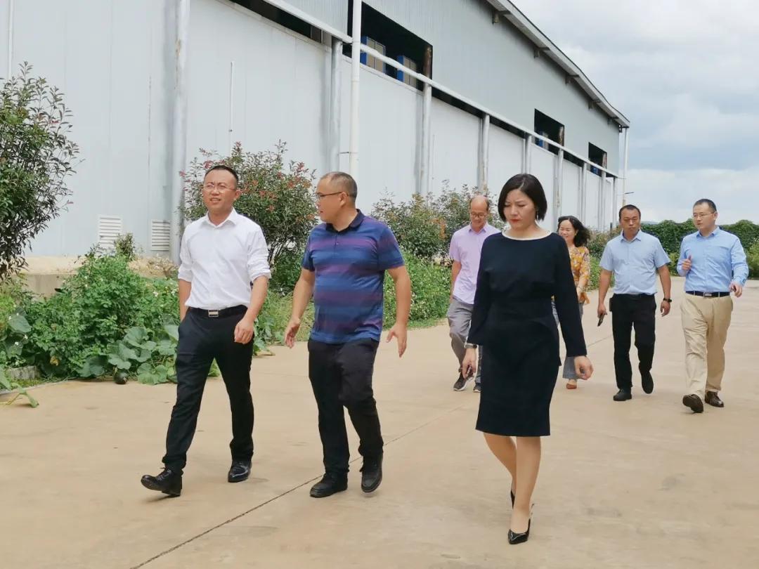 淘金王金合现状,淘金时代王金合