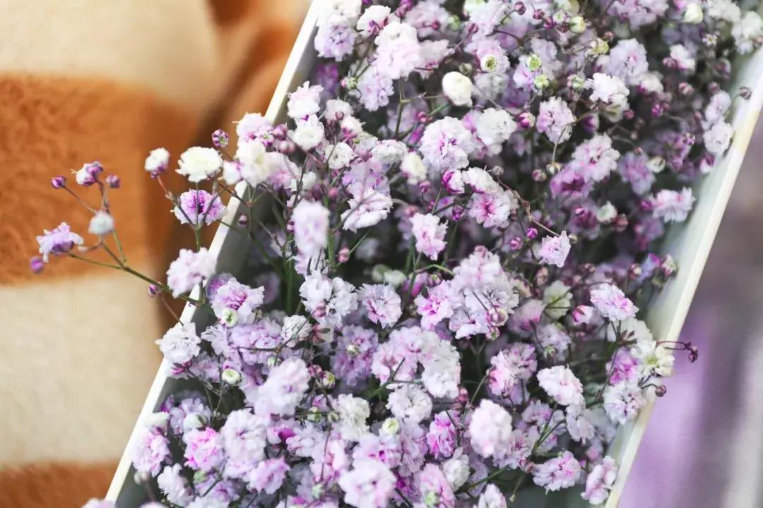 厦门这家超浪漫的鲜花餐厅,厦门最好看的花店